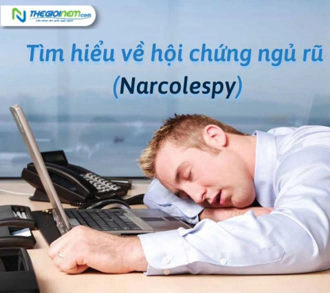 Tìm hiểu về hội chứng ngủ rũ (Narcolespy) | Thegioinem.com