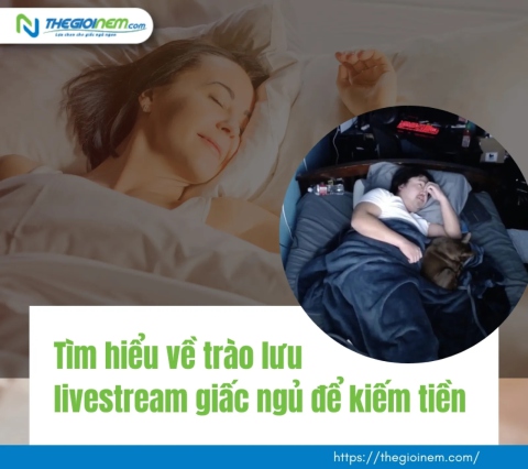 Tìm hiểu về trào lưu livestream giấc ngủ để kiếm tiền