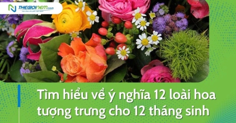 Tìm hiểu về ý nghĩa 12 loài hoa tượng trưng cho 12 tháng sinh