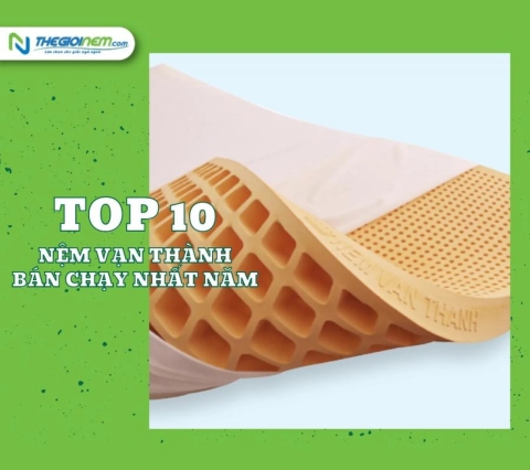 Top 10 nệm Vạn Thành bán chạy nhất năm | Thegioinem.com