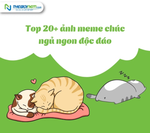 Top 20+ ảnh meme chúc ngủ ngon độc đáo