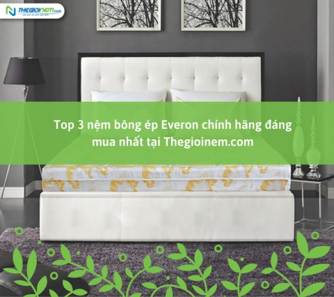 Top 3 nệm bông ép Everon chính hãng đáng mua nhất tại Thegioinem.com