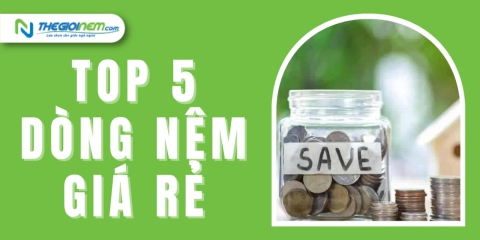 Top 5 dòng nệm giá rẻ bán chạy tại Thế Giới Nệm