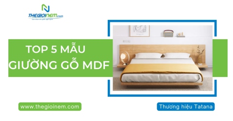 Top 5 mẫu giường gỗ MDF giá rẻ tại Thế Giới Nệm