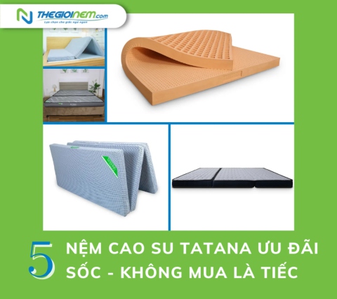 Top 5 Nệm Cao Su Tatana Ưu Đãi SỐC - Không Mua Là Tiếc