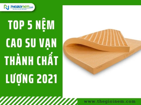 Top 5 nệm cao su vạn thành chất lượng  | Thế Giới Nệm