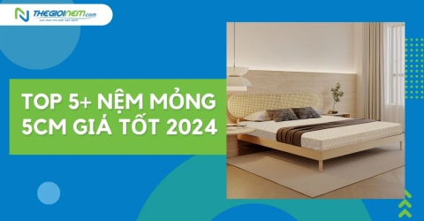 Top 5+ nệm mỏng 5cm giá tốt 2024