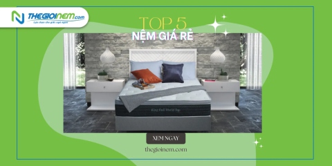 Top 5 thương hiệu nệm giá rẻ tại Quy Nhơn ít ai biết đến | Thegioinem.com