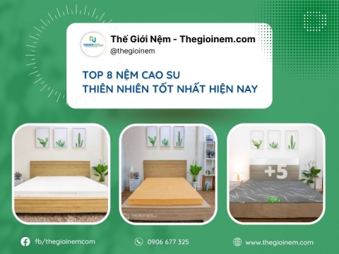 Top 8 nệm cao su thiên nhiên tốt nhất hiện nay | Thế Giới Nệm