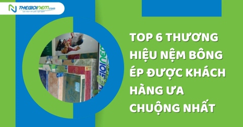 Top 6 thương hiệu nệm bông ép được khách hàng ưa chuộng nhất