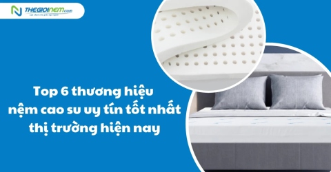 Top 6 Thương Hiệu Nệm Cao Su Uy Tín Tốt Nhất Thị Trường Hiện Nay