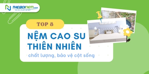 TOP 8 nệm cao su thiên nhiên chất lượng, bảo vệ cột sống lưng tối ưu