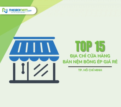 Top địa chỉ cửa hàng bán nệm bông ép giá rẻ tại Tp.Hồ Chí Minh