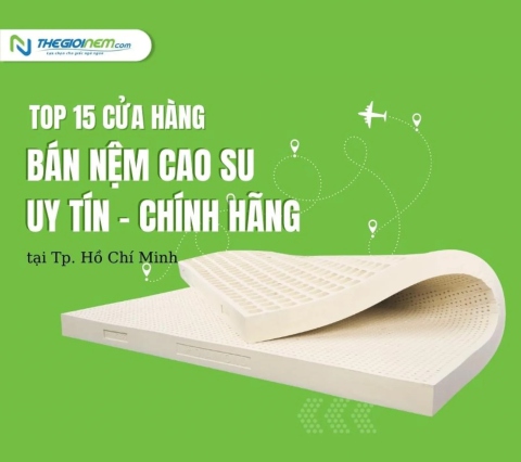 Top 15 địa chỉ cửa hàng bán nệm cao su chính hãng tại HCM