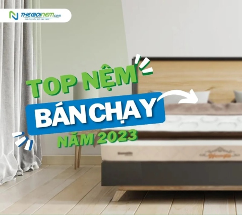 Top nệm bán chạy năm 2024