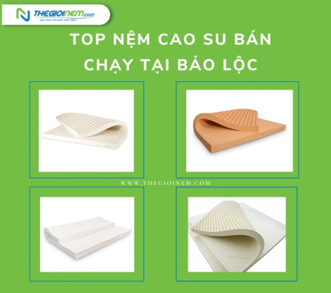 Top nệm cao su bán chạy tại Bảo Lộc | Thegioinem.com