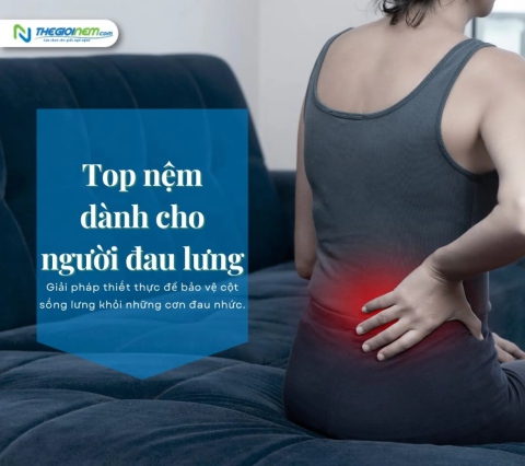 Top nệm dành cho người đau lưng