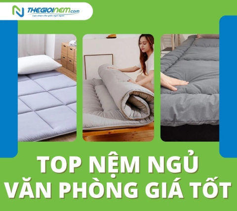 Top nệm ngủ văn phòng giá tốt