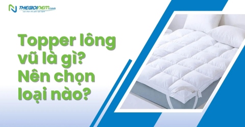 Topper lông vũ là gì? Nên chọn loại nào?