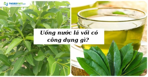 Uống nước lá vối có công dụng gì? Lưu ý khi uống nước lá vối