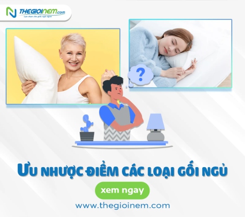 Ưu nhược điểm các loại gối ngủ | Thegioinem.com