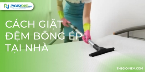 Vệ sinh đệm bông ép tại nhà | thegioinem.com