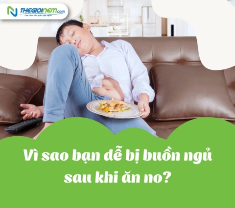 Vì sao bạn dễ bị buồn ngủ sau khi ăn no?