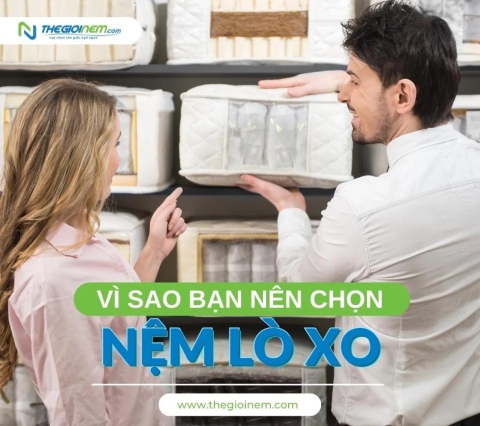 Vì sao bạn nên chọn mua nệm lò xo?