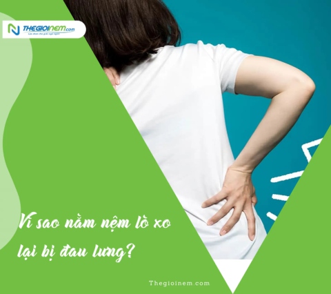 Vì sao nằm nệm lò xo lại bị đau lưng? | Thegioinem.com