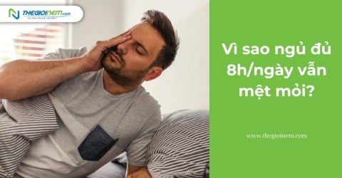 Vì sao ngủ đủ 8h/ngày vẫn mệt mỏi?