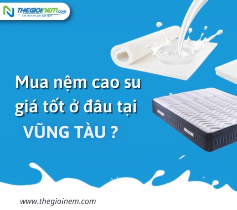 Vũng Tàu Mua Nệm Cao Su Ở Đâu Giá Tốt? | Thegioinem.com