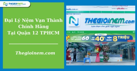 Đại Lý Nệm Vạn Thành Chính Hãng Tại Quận 12 TPHCM