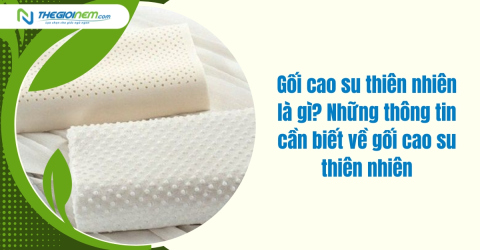 Gối cao su thiên nhiên là gì? Những thông tin cần biết về gối cao su thiên nhiên