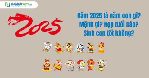 Năm 2025 là năm con gì? Mệnh gì? Hợp tuổi nào? Sinh con tốt không?