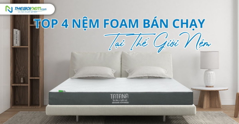 Top nệm Foam giá rẻ, bán chạy tại Thế Giới Nệm