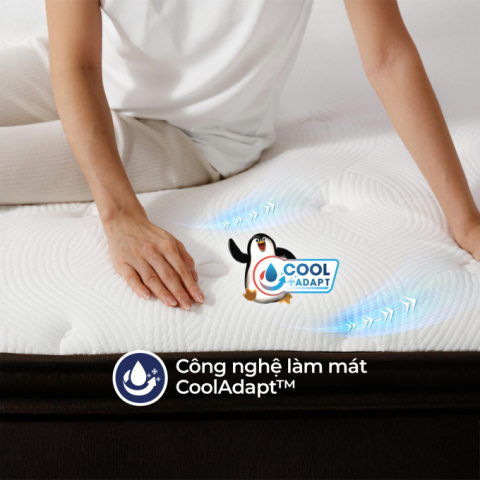 Nệm Lò Xo Liên Á COCOON 2.0 LUXE Giảm 10% Tại Thegioinem.com