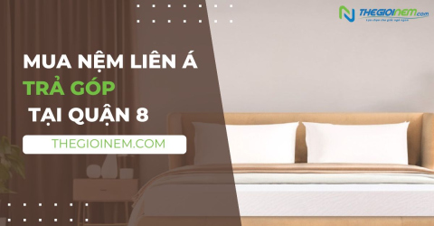 Mua Nệm Liên Á Trả Góp Tại Quận 8 | Thegioinem.com