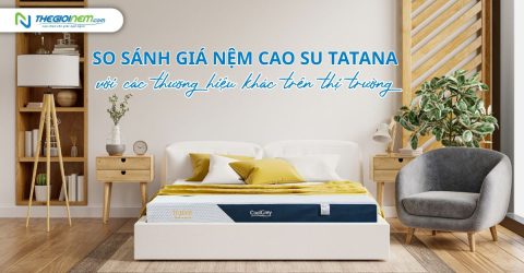 So sánh giá nệm cao su TATANA với các thương hiệu khác trên thị trường