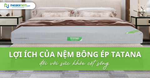 Lợi ích của nệm bông ép TATANA đối với sức khỏe cột sống