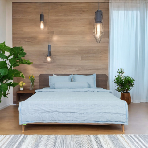 Ga Cotton Đũi TATANA CĐ20 Khuyến Mãi 25% Tại Thế Giới Nệm