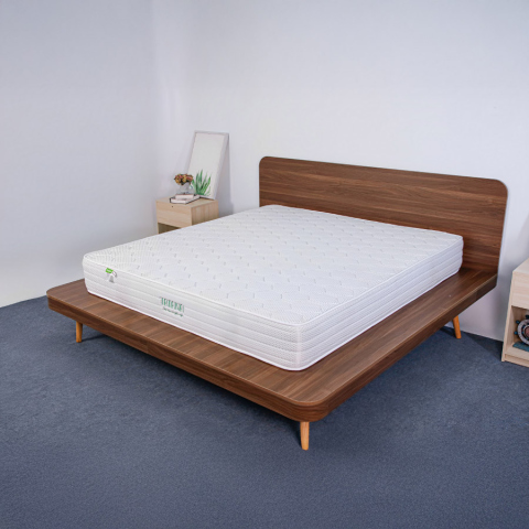 Đệm lò xo túi TATANA Starcoil