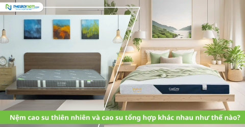 Nệm cao su thiên nhiên và cao su tổng hợp khác nhau như thế nào?