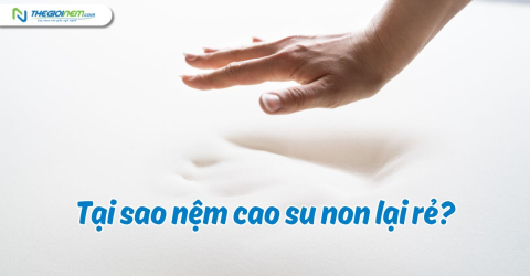 Tại sao nệm cao su non lại rẻ?