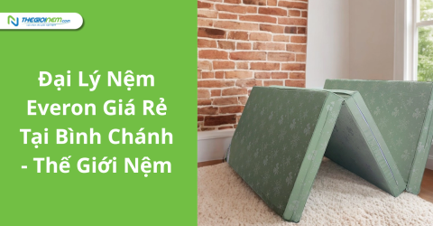 Đại Lý Nệm Everon Chính Hãng, Giá Rẻ Tại Bình Chánh