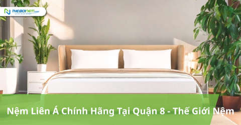 Nệm Liên Á Tại Quận 8 | Thegioinem.com