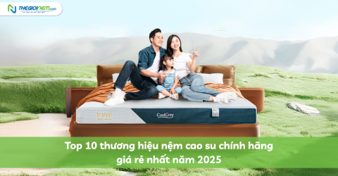 Top 10 thương hiệu nệm cao su giá rẻ đáng mua nhất 2025