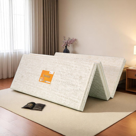 Nệm Bông Ép Vạn Thành Vải Gấm Giảm 10% + Quà Tại Thegioinem.com