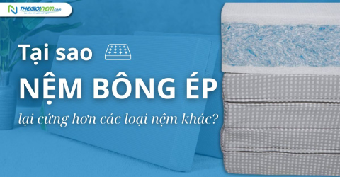 Tại sao nệm bông ép lại cứng hơn các loại nệm khác?