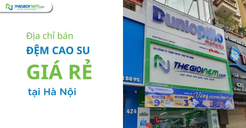2 địa chỉ bán đệm cao su giá rẻ ở Hà Nội - Thế Giới Nệm