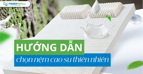 Hướng dẫn chọn nệm cao su thiên nhiên